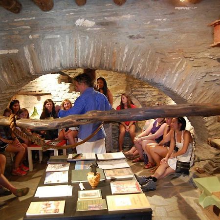 Cyclades Olive Museum'S Guest House Pitrofos エクステリア 写真