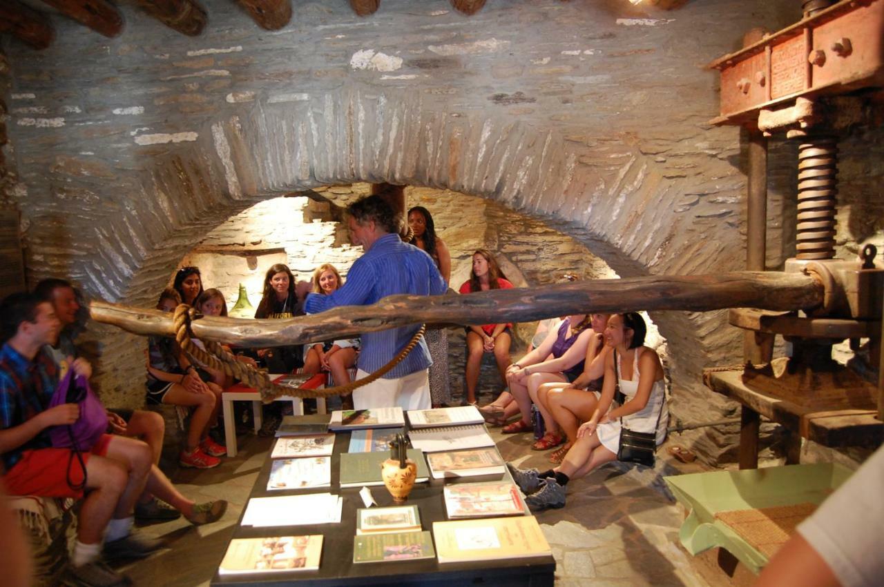 Cyclades Olive Museum'S Guest House Pitrofos エクステリア 写真