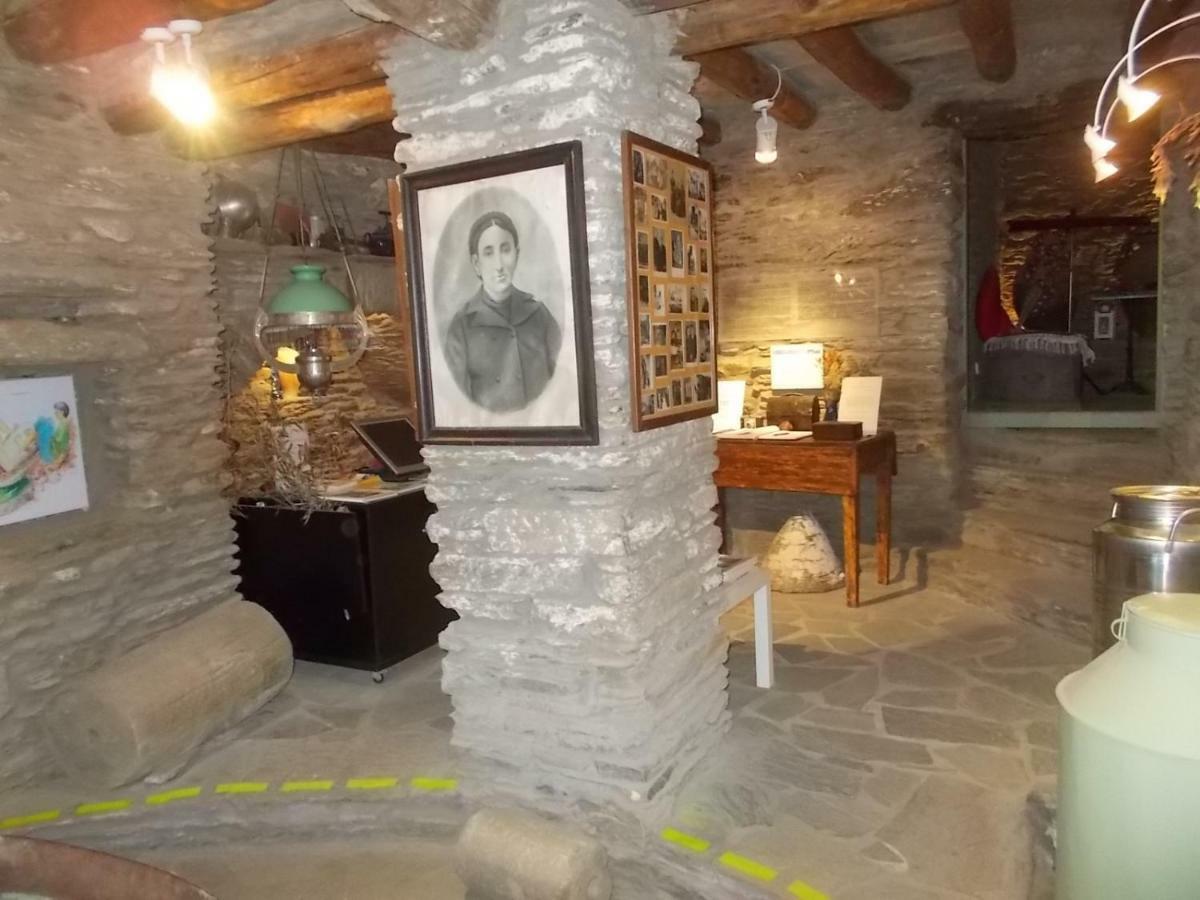 Cyclades Olive Museum'S Guest House Pitrofos エクステリア 写真