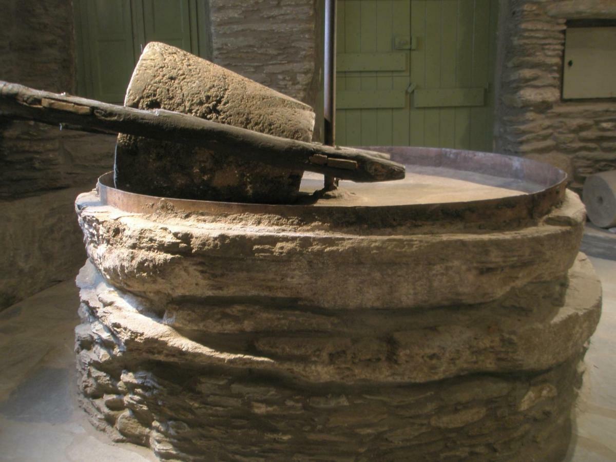 Cyclades Olive Museum'S Guest House Pitrofos エクステリア 写真