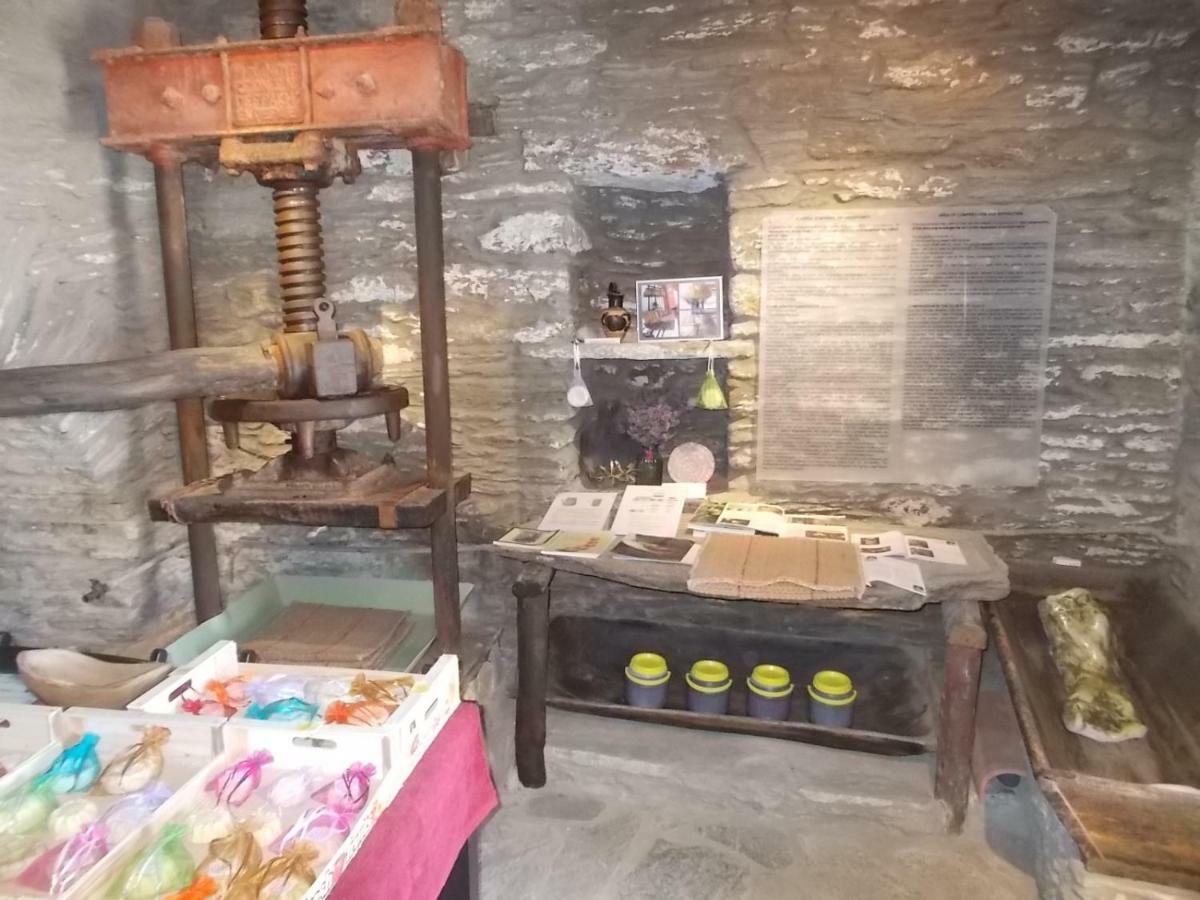 Cyclades Olive Museum'S Guest House Pitrofos エクステリア 写真